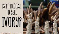 Is It Illegal To Sell Ivory?