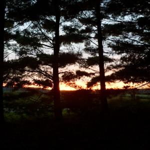 Seller profile picture