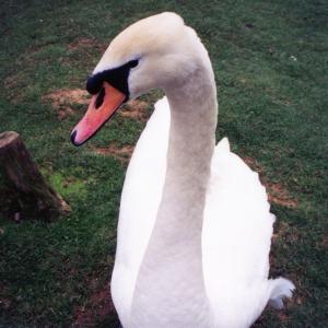 Seller profile picture