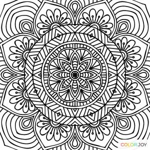 Seller profile picture