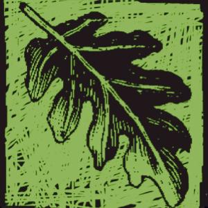 TheOrganizedOne profile picture