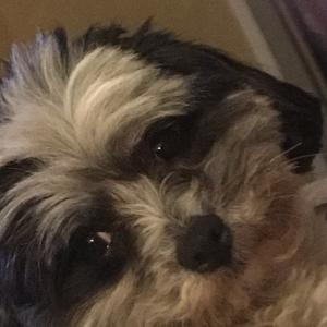 Seller profile picture