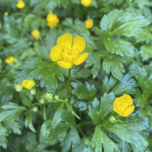 Seller profile picture