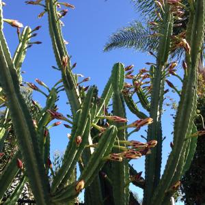 Seller profile picture