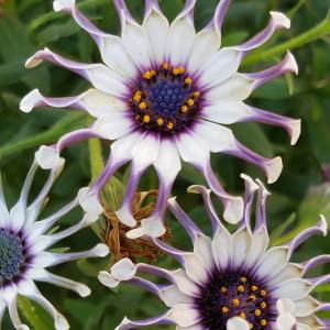 Michalimagines profile picture