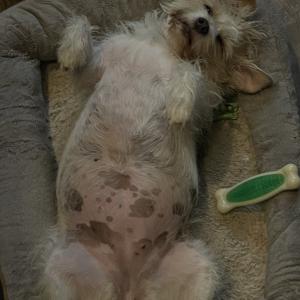 Seller profile picture