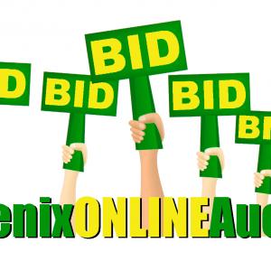 Phoenix Online Auction profile picture