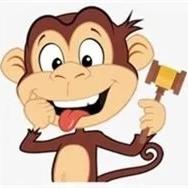 auction monkey profile picture