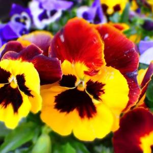 Legacy Liquidators LLC profile picture