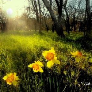 Seller profile picture