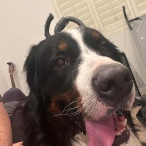 Seller profile picture